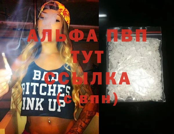 крисы Алексин