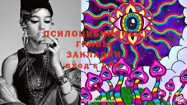 соль курить ск Алзамай