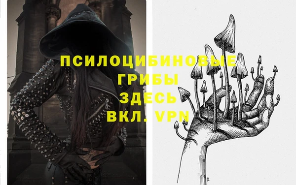 соль курить ск Алзамай