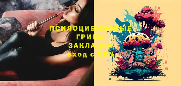 крисы Алексин