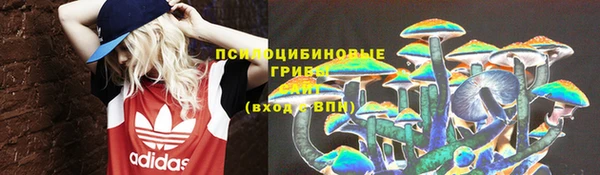 эйфоретик Алексеевка