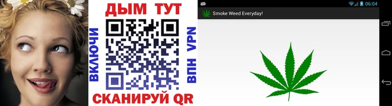Каннабис OG Kush  Белебей 